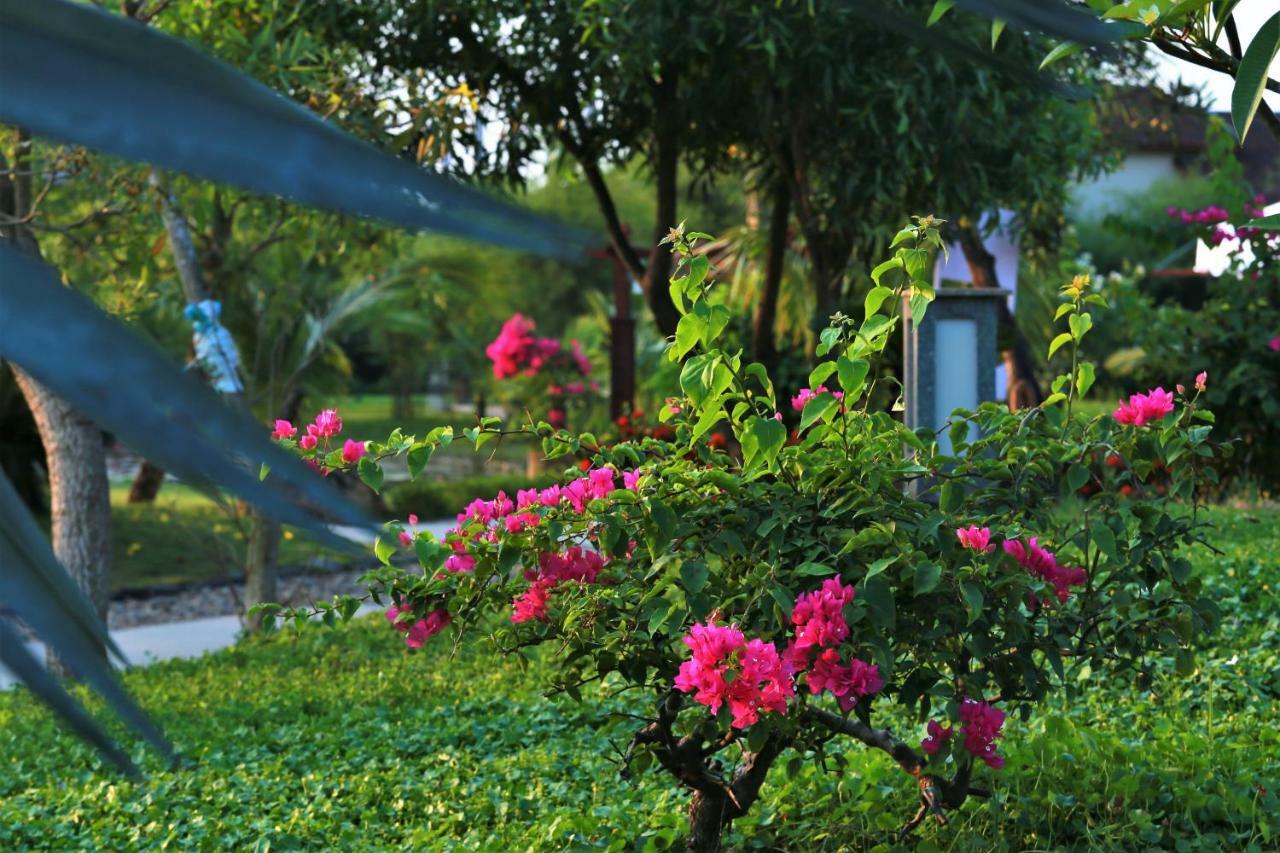 Bao Ninh Beach Resort Dong Hoi Exterior foto